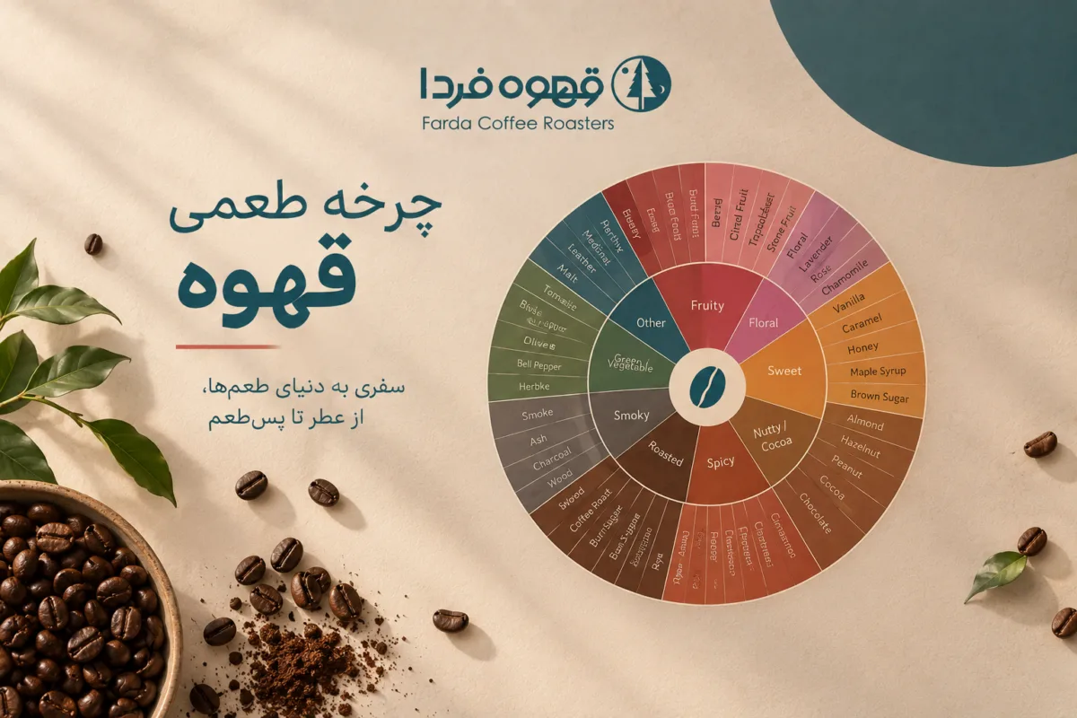 چرخه طعمی قهوه